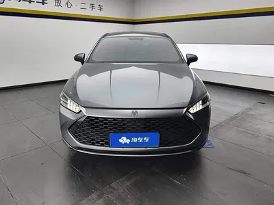 2024 BYD Qin PLUS Glory Edition DM-i 55KM Leading, фото 2, лот 10364114