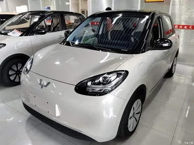 2023 Wuling Motors Wuling Bingo 333km Quick Enjoy Version, фото 2, лот 10371918