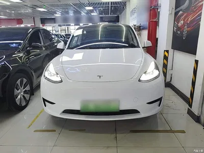 2022 Tesla Model Y Rear-Wheel Drive Version, фото 3, лот 10370367