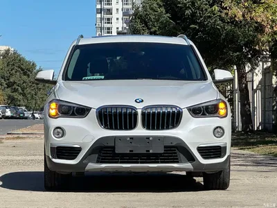 2018 BMW X1 New Energy xDrive25Le Luxury Model, фото 2, лот 11007107