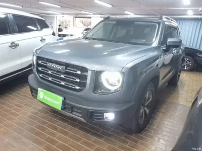 2021 Haval Big Dog 1.5T DCT 2WD Labrador Edition, фото 1, лот 10361243