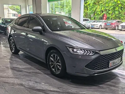 2024 BYD Qin PLUS Glory Edition DM-i 55KM Leading, фото 3, лот 10611890