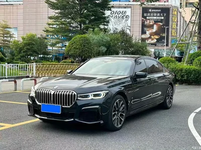 2019 BMW 7 Series 740Li xDrive Executive M Sport Package, фото 1, лот 10576439