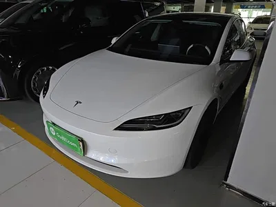 2025 Tesla Model 3 Model Rear-Wheel Drive Edition, фото 2, лот 10662861