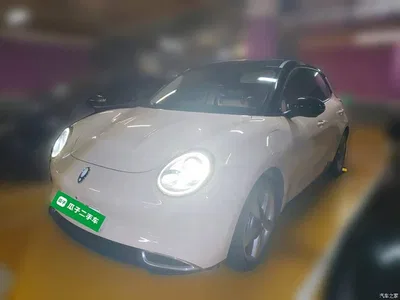 2021 Ora Good Cat 400km Standard Range Venus Edition (LFP), фото 1, лот 11199014