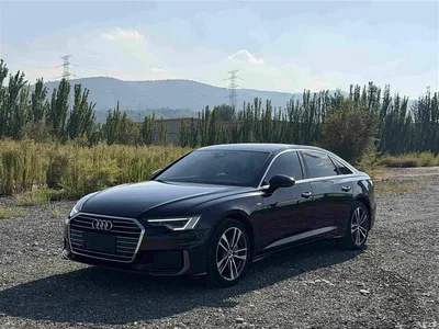 2021 Audi A6L 40 TFSI Luxury Sport, фото 1, лот 10396758