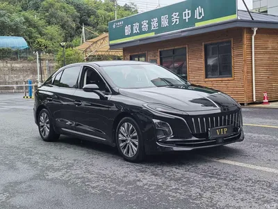 2022 Hongqi E-QM5 431km Charging Enjoyment Edition, фото 3, лот 11533968