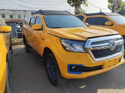 2023 Dongfeng Rich 6 New Energy Palasso Van Standard Edition 320km, фото 4, лот 10957936