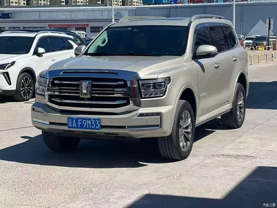 2022 Tank 500 3.0T Sport Edition Dengfeng 5-Seater, фото 1, лот 10345206