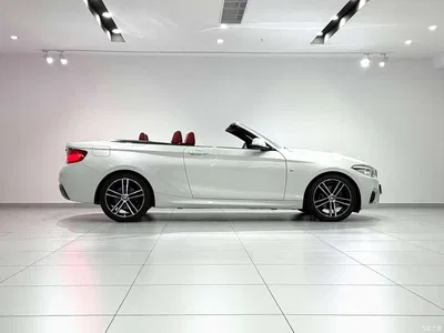 2018 BMW 2 Series (Import) 225i Convertible Coupe Premium M Sport Package, фото 3, лот 10402937