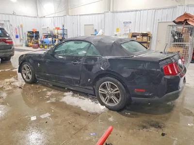 2010 FORD MUSTANG, фото 2, лот 10502559