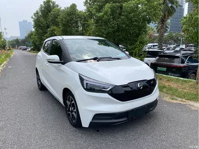 2022 Jmev Yizhi EV3 Mini Radar Joy Run Edition, фото 3, лот 11643838
