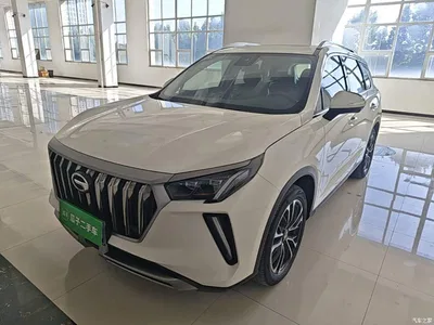 2021 GAC Trumpchi Trumpchi GS4 PLUS 390T Automatic Nebula Edition, фото 1, лот 11579825