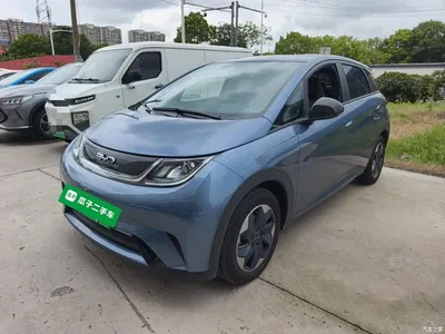 2025 BYD Dolphin 420km Freedom Edition, фото 1, лот 10259734