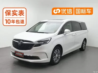 2021 Buick GL8 ES Landlord 653T Premium, фото 1, лот 10403247