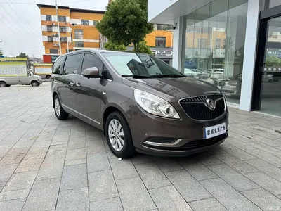 2017 Buick GL8 25S Luxury China V, фото 3, лот 10253477