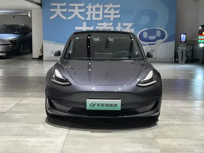 2019 Tesla Model 3 Standard Range Rear-Wheel Drive Upgrade, фото 2, лот 10355340