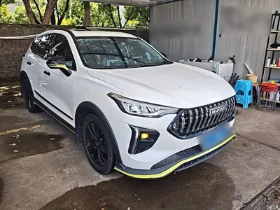 2021 Haval Chitu Boost Edition 1.5T Platinum Rabbit, фото 4, лот 10284270