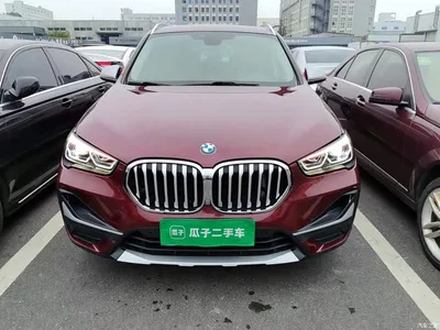 2021 BMW X1 xDrive25Li Exclusive, фото 3, лот 11099081