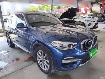 2018 BMW X3 xDrive25i Luxury Package China V, фото 4, лот 10461846