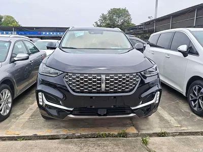 2021 WEY VV6 2.0T 2WD Smart Joy+, фото 2, лот 11567671