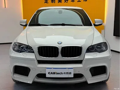 2010 BMW X6 M, фото 3, лот 10434708