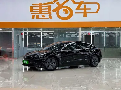 2020 Tesla Model 3 Standard Range Rear-Wheel Drive Upgrade, фото 2, лот 10355134