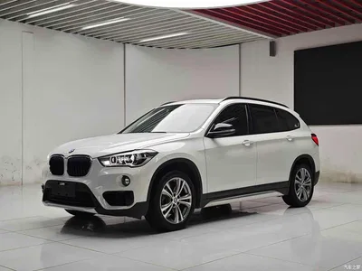 2016 BMW X1 sDrive18Li Luxury Model, фото 1, лот 10424035