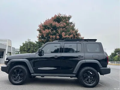 2021 Tank 300 Off-road Edition 2.0T Challenger, фото 2, лот 11249498
