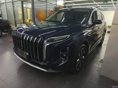2023 Hongqi HS7 2.0T Automatic 4WD Flag Leader Edition (6-seater), фото 2, лот 11215748