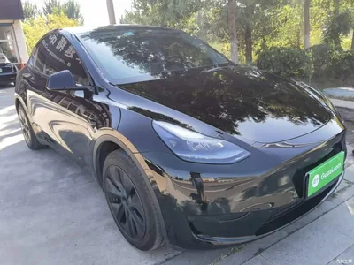 2023 Tesla Model Y Rear-Wheel Drive Edition, фото 4, лот 10369550