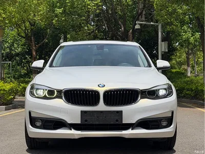 2018 BMW 3 Series GT 320i Fashion, фото 2, лот 10473875