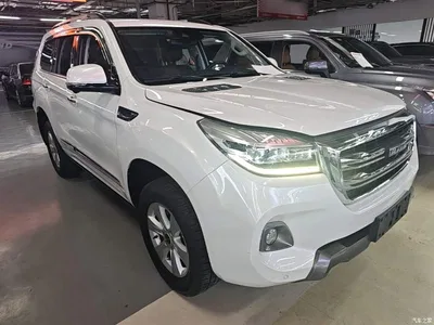 2020 Haval H9 2.0T Gasoline 4WD Premium 5-Seater, фото 4, лот 10955505