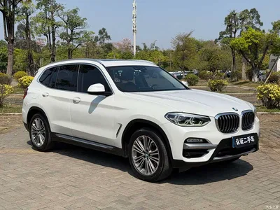 2018 BMW X3 xDrive28i Luxury Package China VI, фото 3, лот 10460546