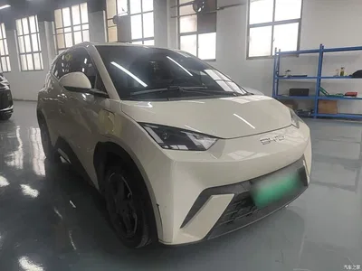 2023 BYD Seagull Freedom Edition, фото 4, лот 11201520