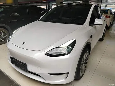 2021 Tesla Model Y Standard Range Rear-Wheel Drive, фото 1, лот 10389542