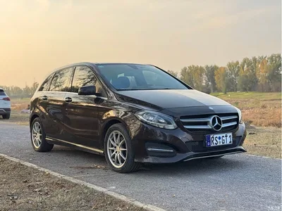 2015 Mercedes-Benz B-Class B 200 Dynamic, фото 1, лот 10287551