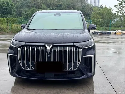 2024 Voyah Auto Voyah Dreamer PHEV Extended Range Premium Edition, фото 3, лот 11448578