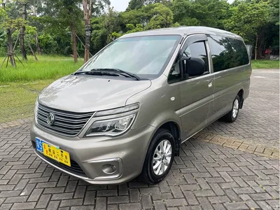 2019 Dongfeng Lingzhi M5L 1.6L 7-seat Luxury Model China VI, фото 1, лот 11161064