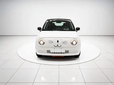 2021 Ora Black Cat 301km Basic Model, фото 3, лот 10330494