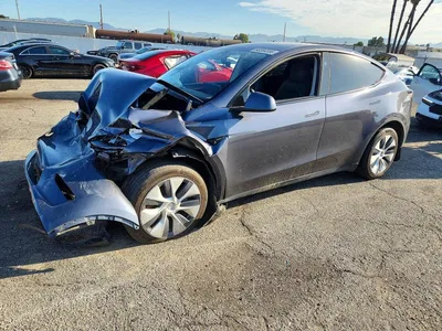 2023 TESLA MODEL Y, фото 1, лот 10711735