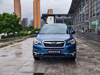 2018 Subaru Forester 2.0i Luxury Navigation Edition, фото 2, лот 10341359