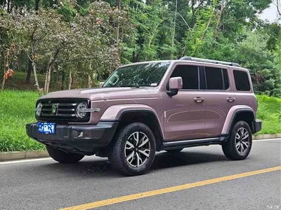 2023 Tank 300 Urban Edition 2.0T Very Stylish, фото 1, лот 10343976