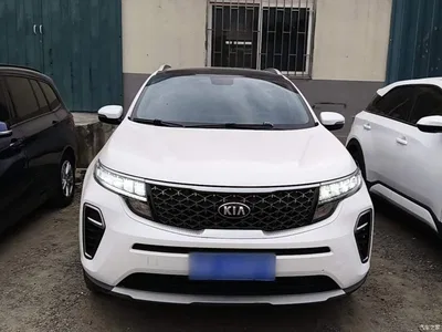 2019 Kia KX5 1.6T Auto 2WD Elite Edition, фото 3, лот 10337795
