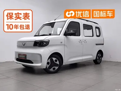 2025 Wuling Motors Wuling Zhiguang NEV Model Comfort, фото 1, лот 10836436