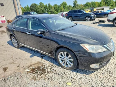 2010 LEXUS ES 350, фото 4, лот 10845266
