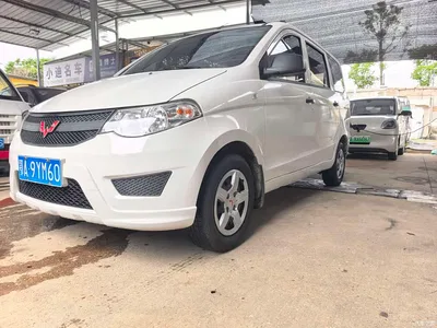 2020 Wuling Motors Wuling Hongguang 1.2L S Basic China VI LSI, фото 1, лот 10367225