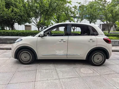 2023 Wuling Motors Wuling Bingo 203km Comfort Version, фото 3, лот 10367761
