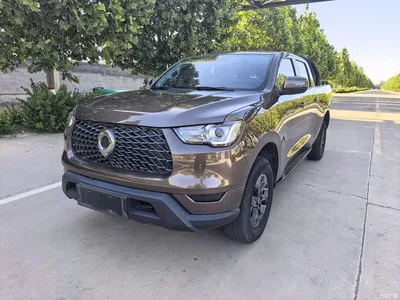 2021 Great Wall Pao 2.0T Commercial Edition Automatic Diesel 2WD Elite Long Box GW4D20M, фото 2, лот 10248895