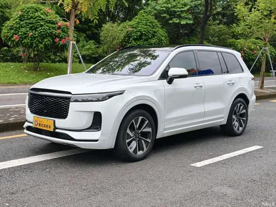 2021 Li Auto Li ONE Extended Range 6-Seater, фото 1, лот 10825287